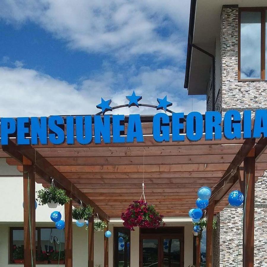 Pensiunea Georgia Lunguleţul Екстериор снимка